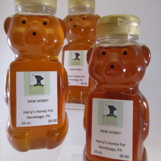 Honey Squeeze Bears