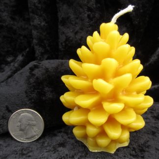 small pinecone beeswax candle