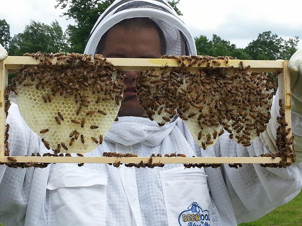 beeswax being formed on a frame