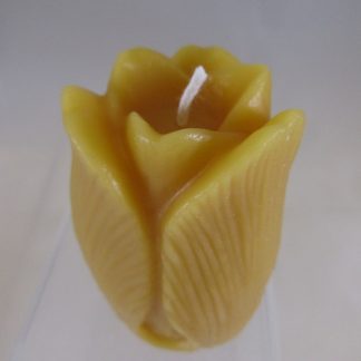 Tulip Flower Beeswax Candle