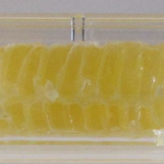 Rawhoney comb square