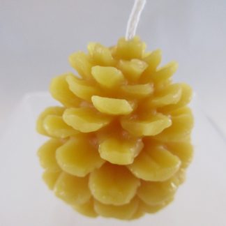 small pine cone beeswax candle