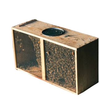 3 pound package honey bees queen